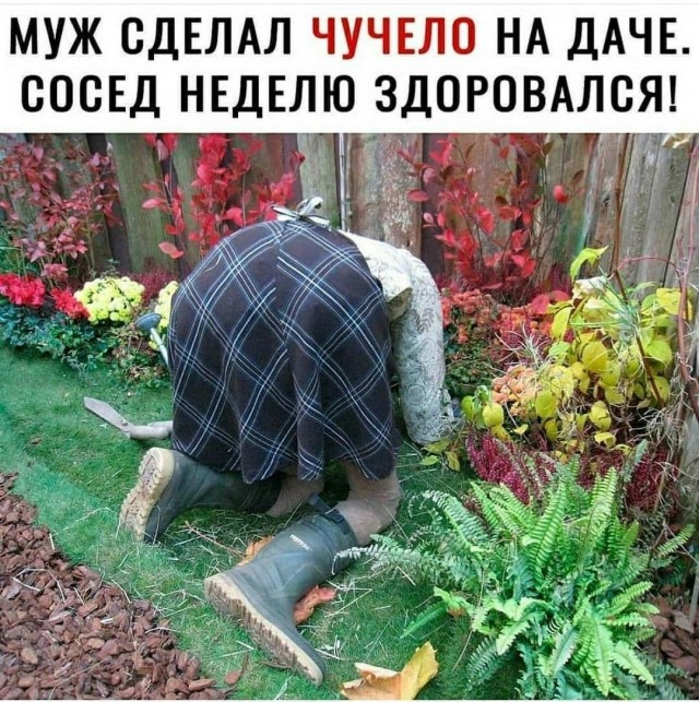 Прикольные и просто красивые картинки 04.09.2026