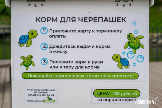 Покормите черепашек!