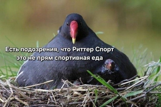 Что-то уже коньяка хочется
