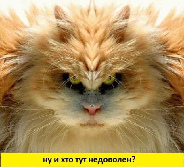 Очень смешная шутка