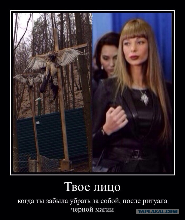 В резиденции Януковича - сатанизм?