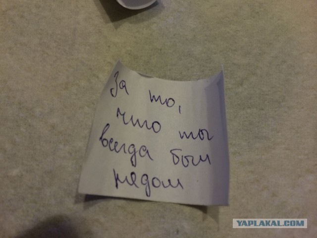 Подарок от дочки своими руками