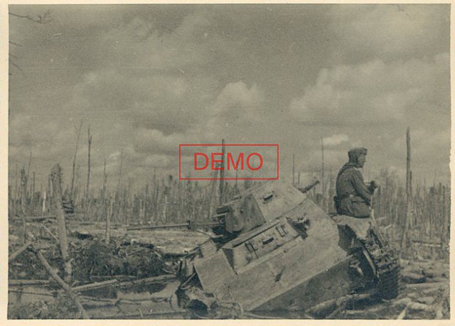 Синявино.