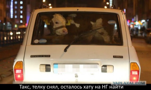 Веселые картинки