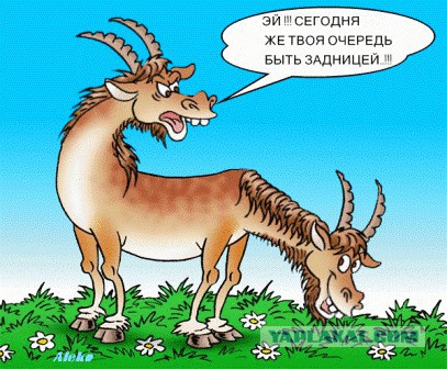 Визуализируем свои ники!