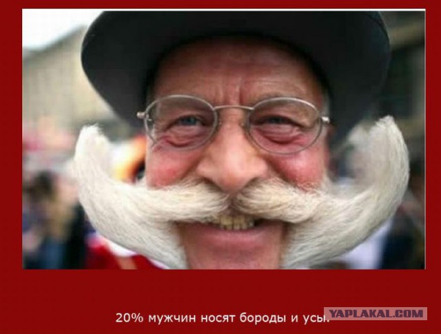 20 фактов обо всем