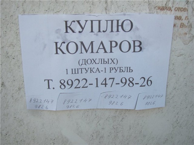 Злые шутки или минутка сарказма на ЯП-е, 16+