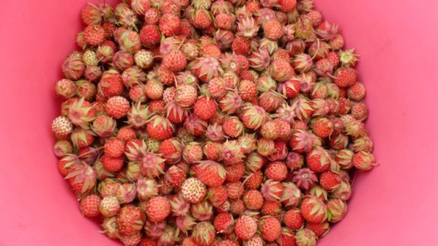 Я узнал, что у меня есть огромная семья