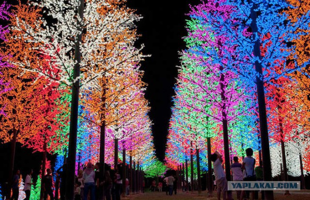 Интересные и веселые картинки