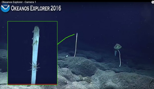 Началась онлайн-трансляция происходящего в самом глубоком месте Земли