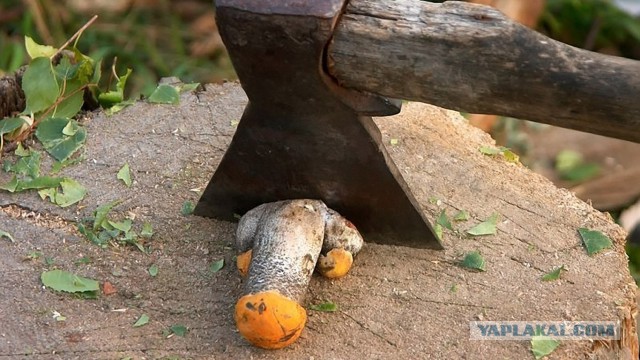 Мужчина, прятавший тело школьницы в багажнике, признался в изнасиловании девочки