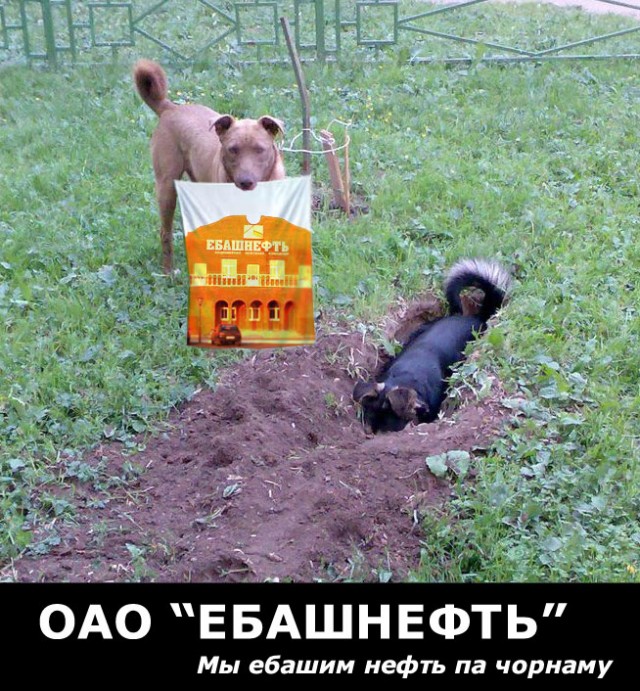 Фотожаба: да здесь где-то недалеко!