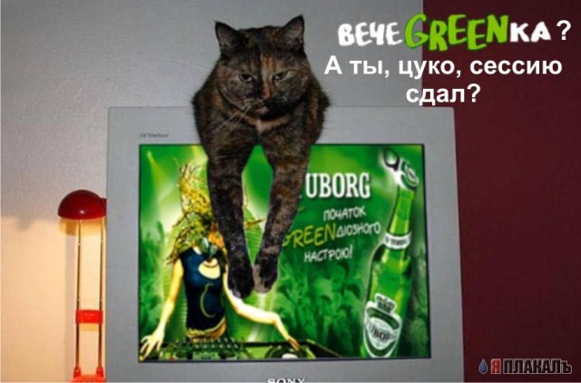 Фотожаба: чем закончится вечеgreenка?