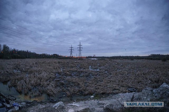 Долгопрудный (фото)
