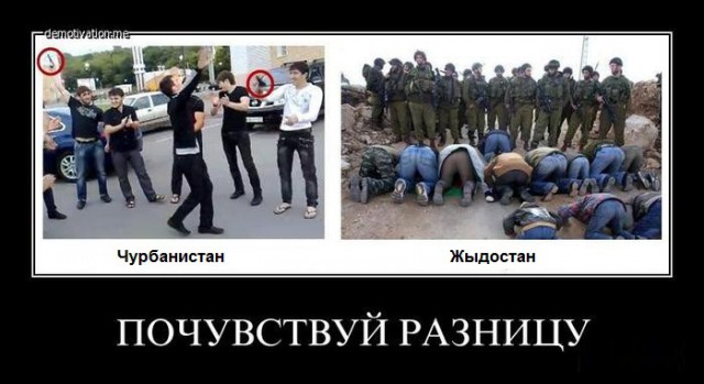 Мигранты громят французские школы