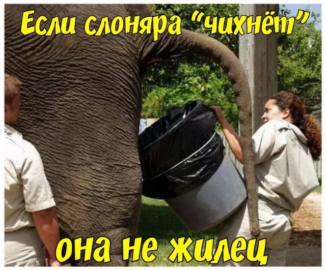 Картинки с просторов