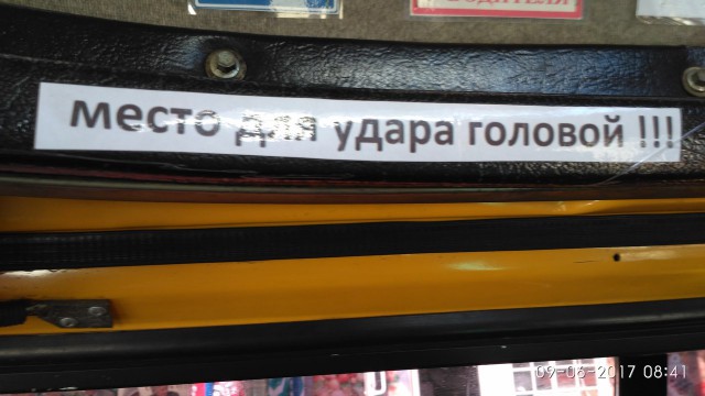 Забавные картинки