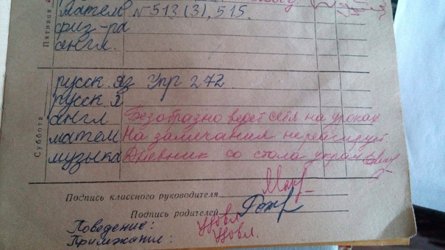 Замечания в дневниках