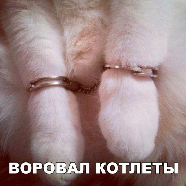144 картинки для поднятия настроения!