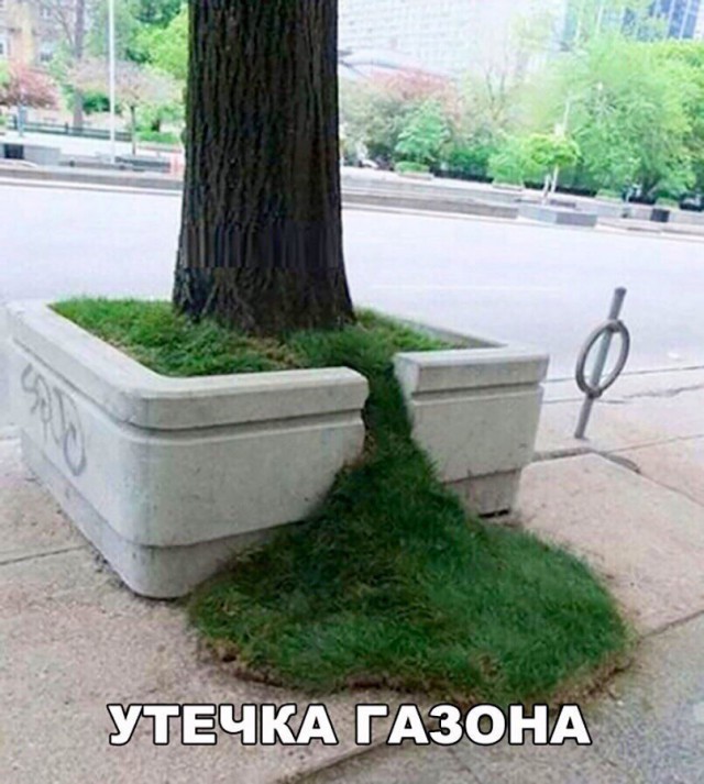 Всякая всячина