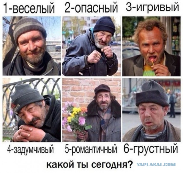 25 мужчин, не знающих поражений. Гуру соблазнения