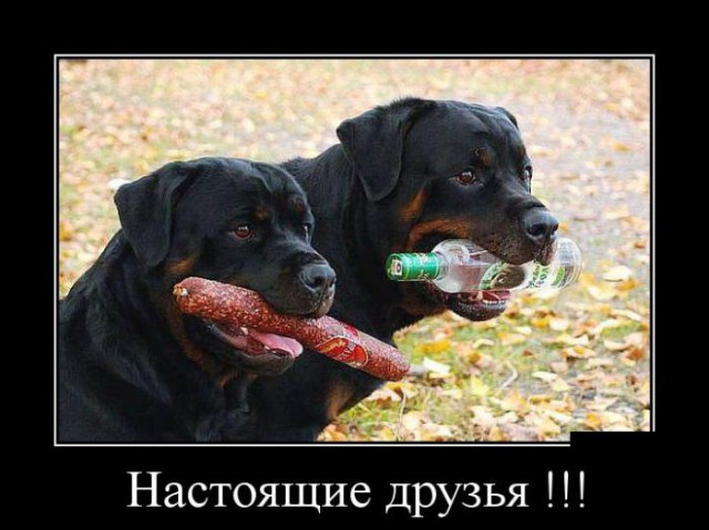 Клуб анонимных алкоголиков