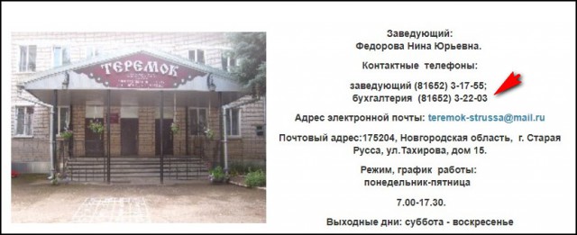 «Обратите на нас внимание». Пермский воспитатель написала открытое письмо Владимиру Путину
