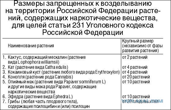 В Зауралье в огороде 80-летней старушки нашли мак. Пенсионерке грозит до 2 лет колонии