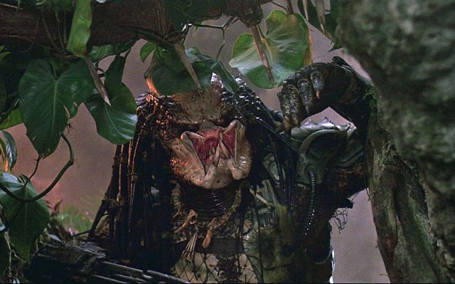 Хищник против Хищника (The Predator vs Predator)