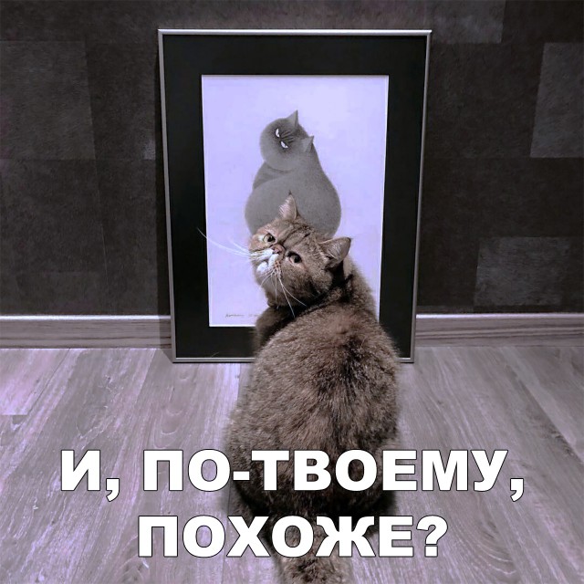 Нестандартный юмор