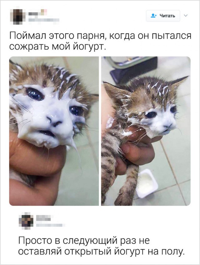 Люди, которые выдали себя с головой