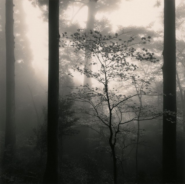 Мир без звуков/michael Kenna