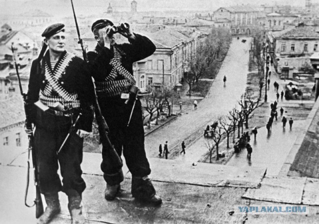 Сегодня день освобождения города Героя Керчь