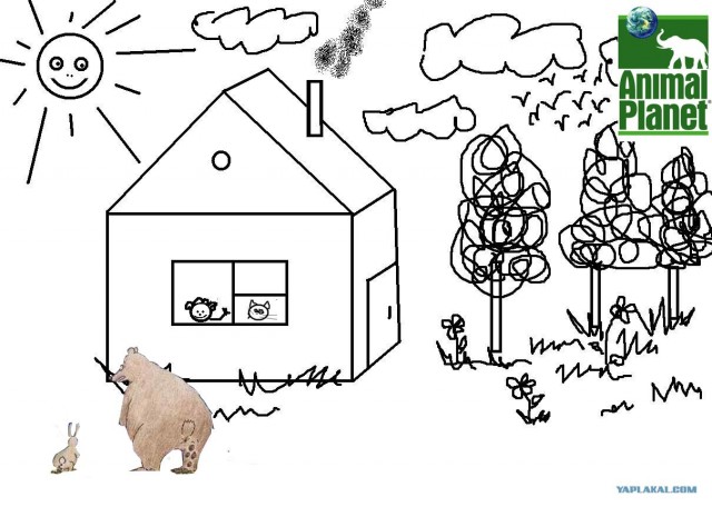 Paint рулит, коты гадят