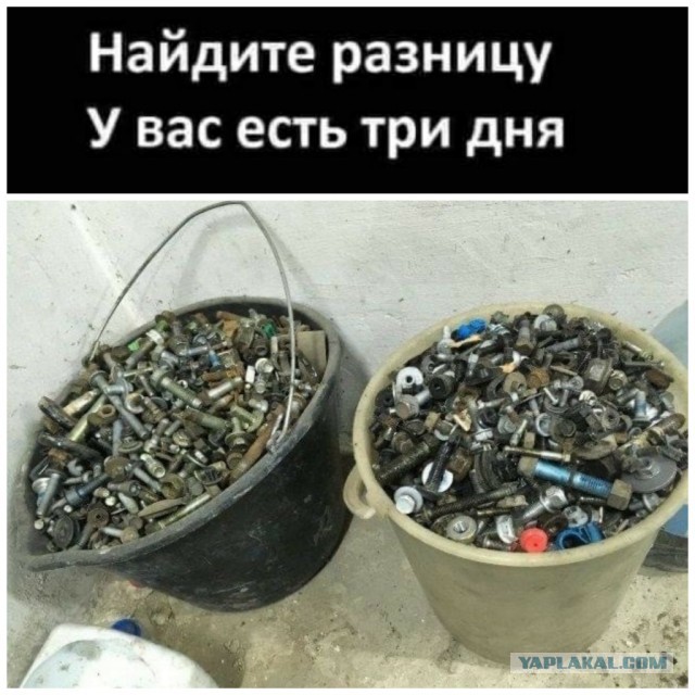 Картинки