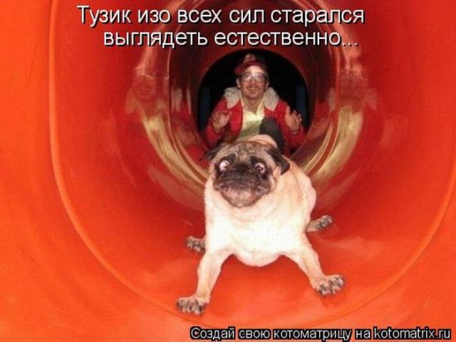 Картинки разные 08.10.2020