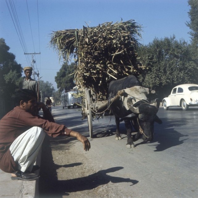 Улицы мира в 1970 году. Какими они были полвека назад