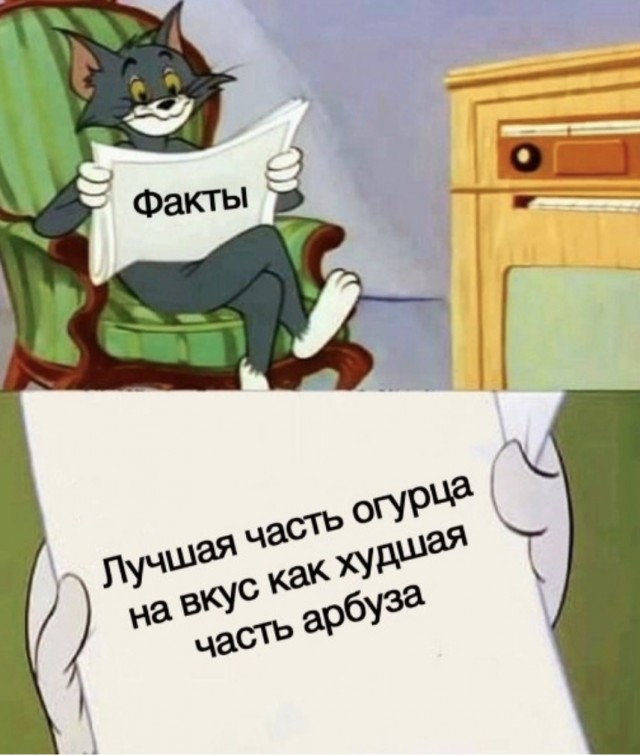 Весёлый полтишок 22.03