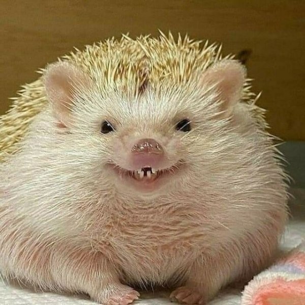 Прикольные и просто красивые картинки 30.05.21