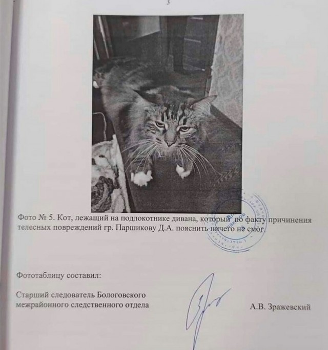 Здравствуйте