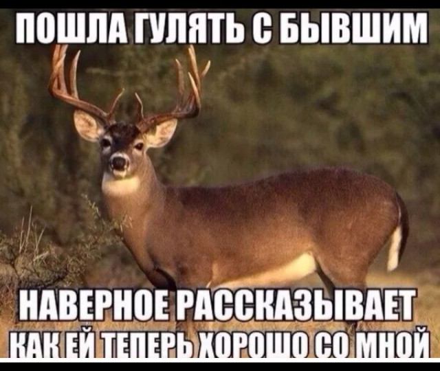 "Алени" — баборабы, мужчина "Алень"— кто это?