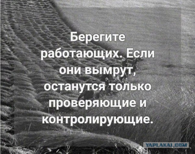 Весёлый полтишок 26.11