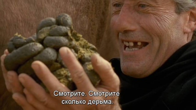 Короткие истории и случаи из жизни 19.12.21
