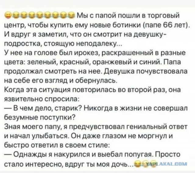 Весёлый полтишок 01.02