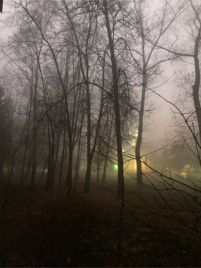 Фотки с телефона.