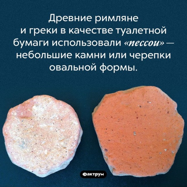 В России предложили наладить производство туалетной бумаги из камня