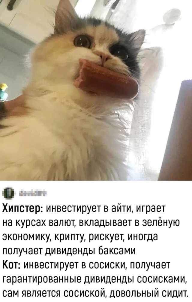 Так себе картинки 26.05.22