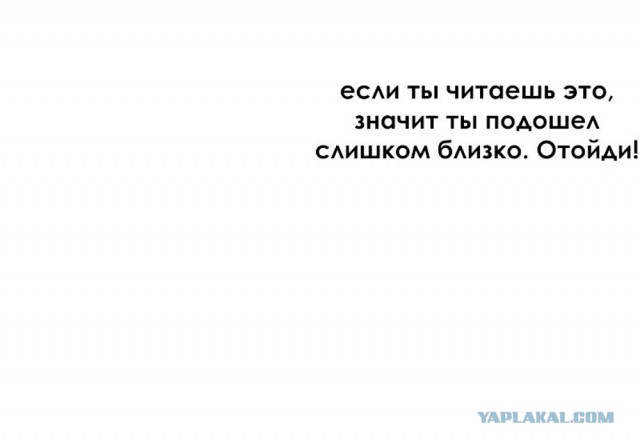 Ужасное поглощение автобусом девушки на велосипеде в центре Питера  — её буквально зажевало под машину