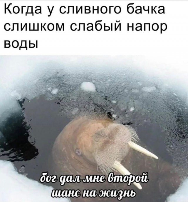 Немного картинок и прочей хреноты Vol. 17