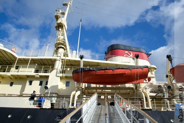 СПб глазами уставшего туриста...